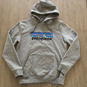 Patagonia - size medium hooded sweater